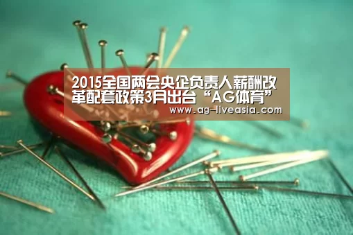 2015全国两会央企负责人薪酬改革配套政策3月出台“AG体育”(图4) AG篮球