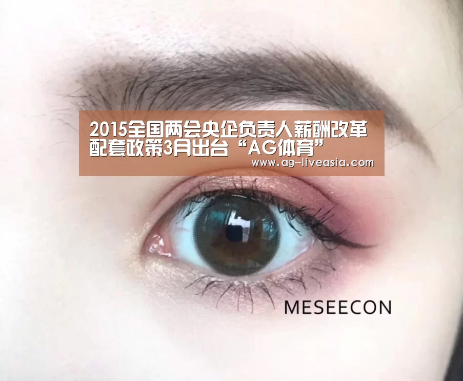 2015全国两会央企负责人薪酬改革配套政策3月出台“AG体育”(图3) AG篮球